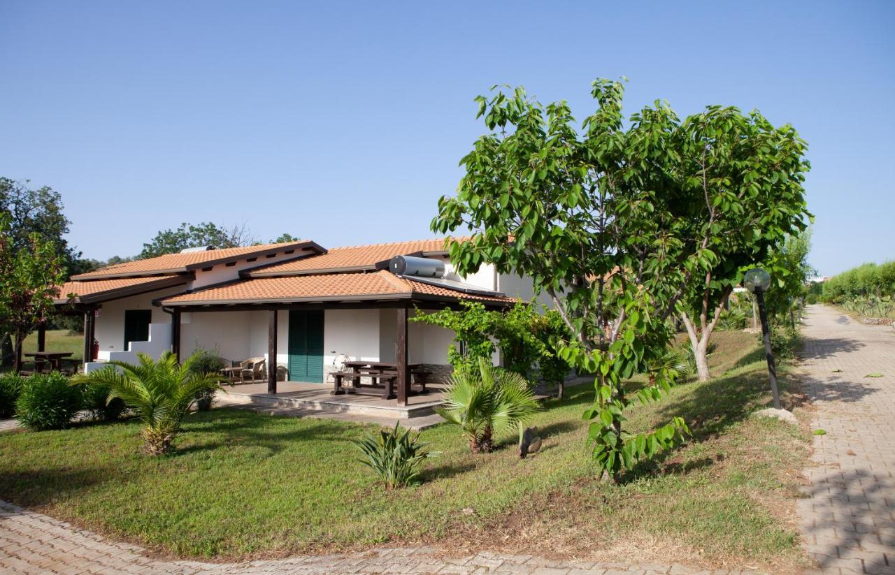 Agriturismo Ninea Ricadi Exterior photo