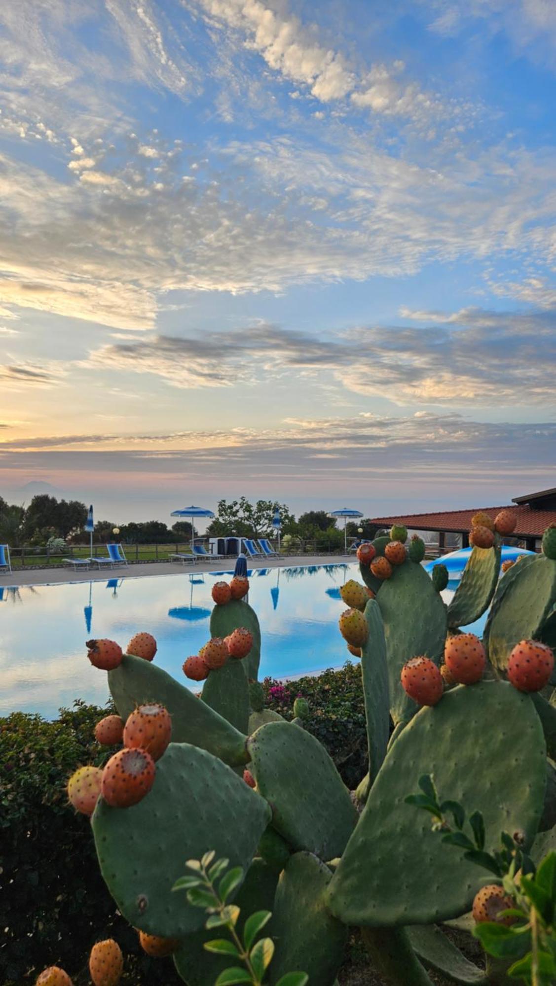 Agriturismo Ninea Ricadi Exterior photo